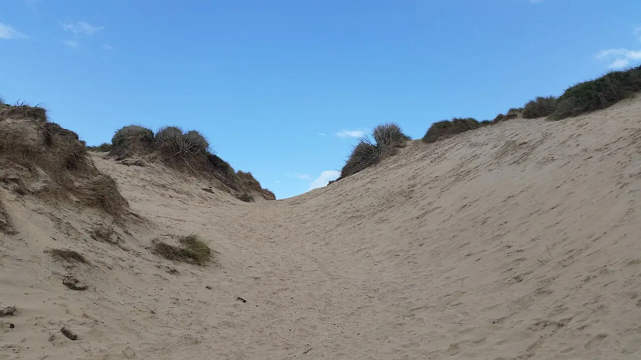 A view of part of the sand dunes behind Crantock Beach, Cornwall.