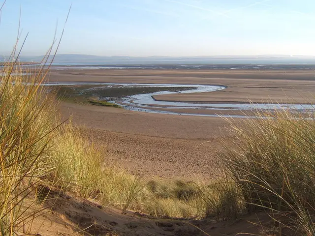 Duddon Sands from the dunes near Haverigg