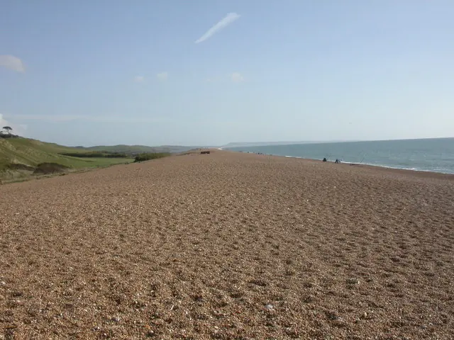 Abbotsbury, Chesil Bank Shingle bank, notoriously difficult to walk on; damplands to the left, and sea anglers to the right. http://www.coastlink.org/chesil/index.htm