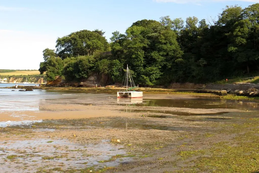 Middle Beach at Studland