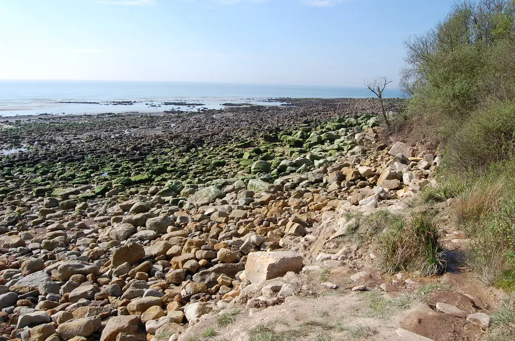Rocky Beach at the bottom of Fairlight Glen