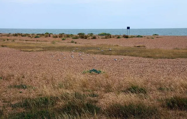 Eastney Beach in Portsmouth