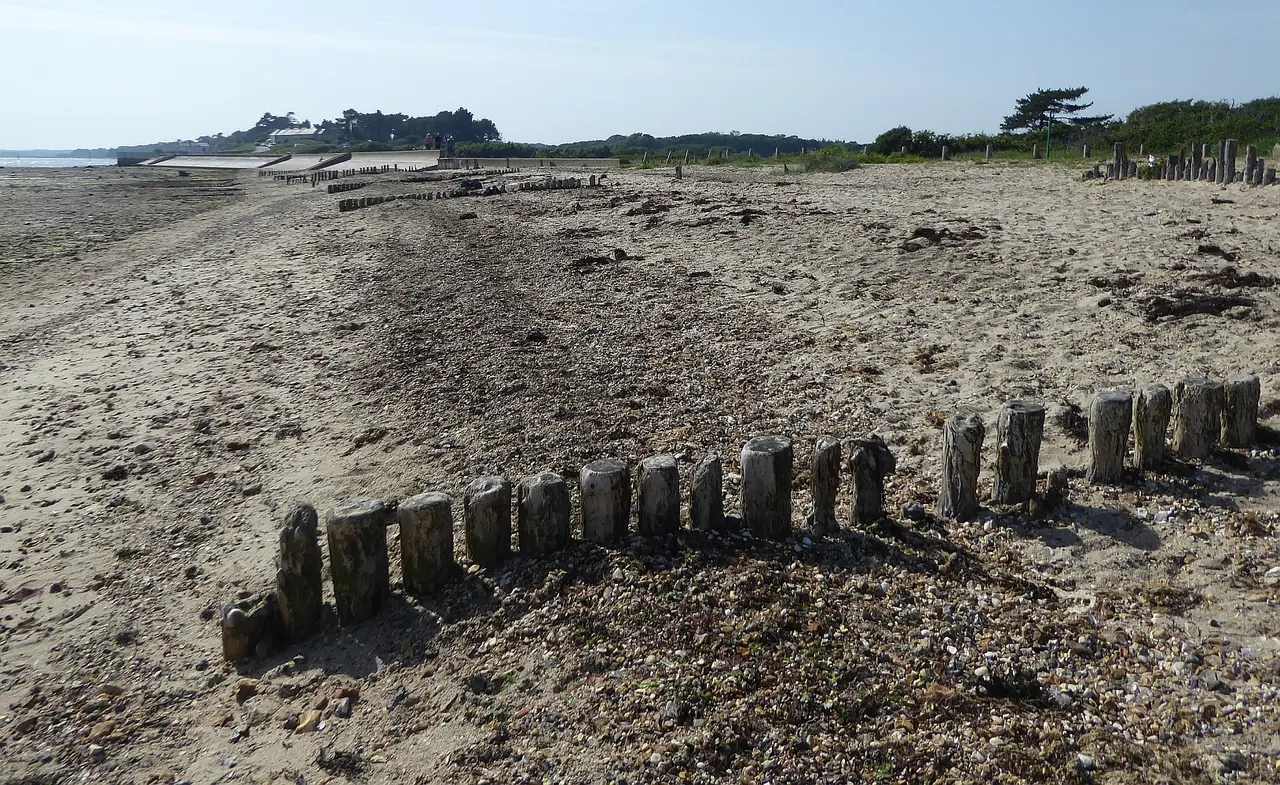 Beach with groynes, Lepe