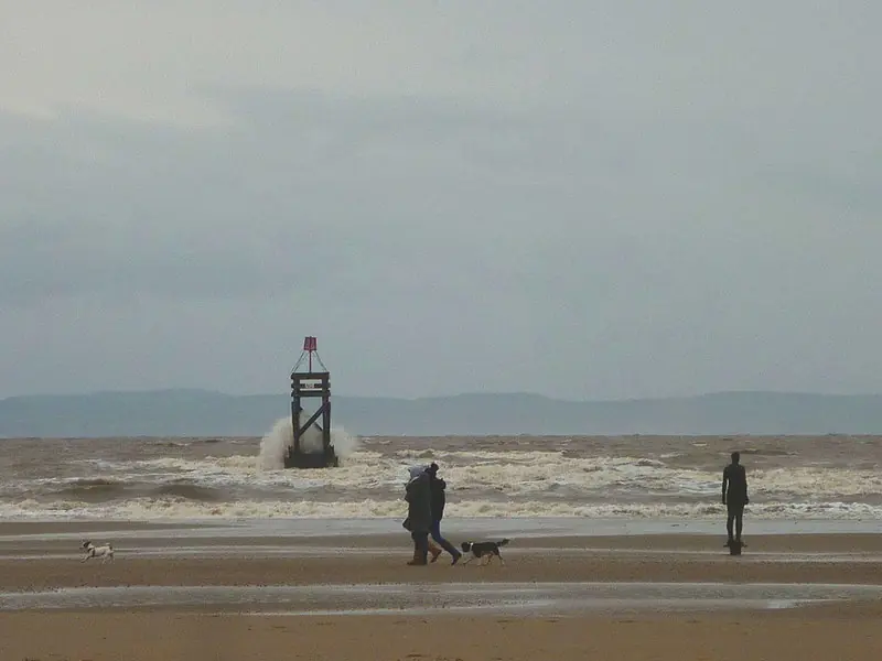 Walking the dogs, Crosby Beach