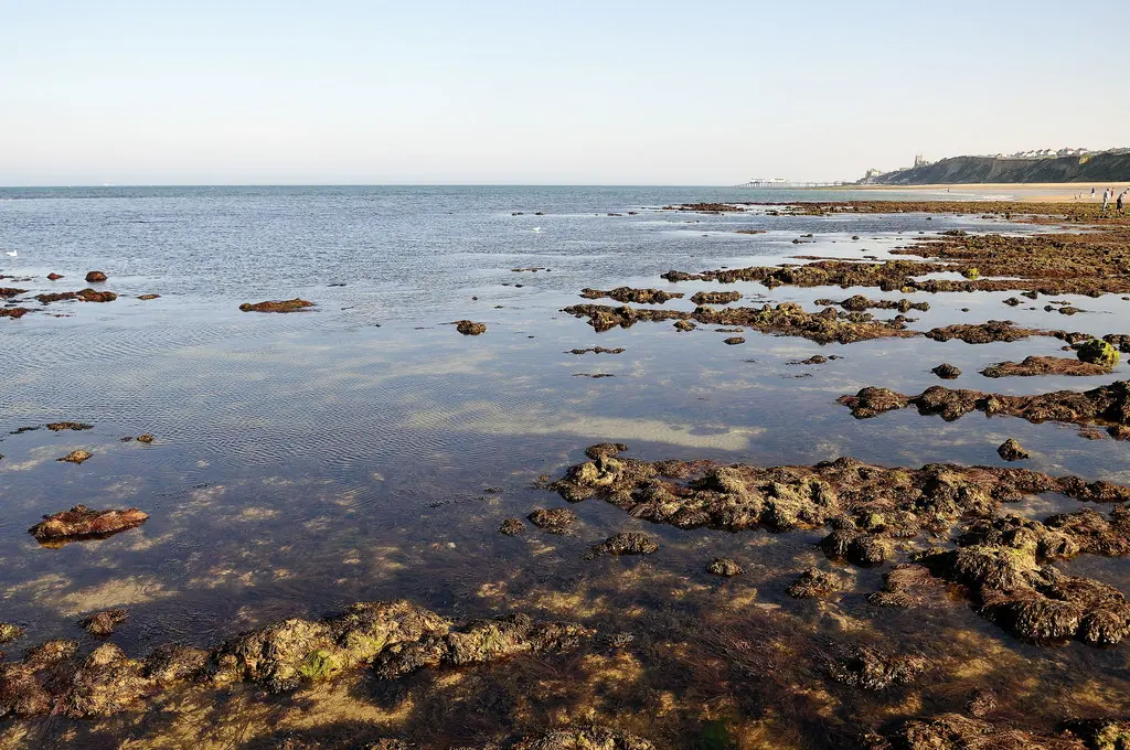 Beach, East Runton Gap