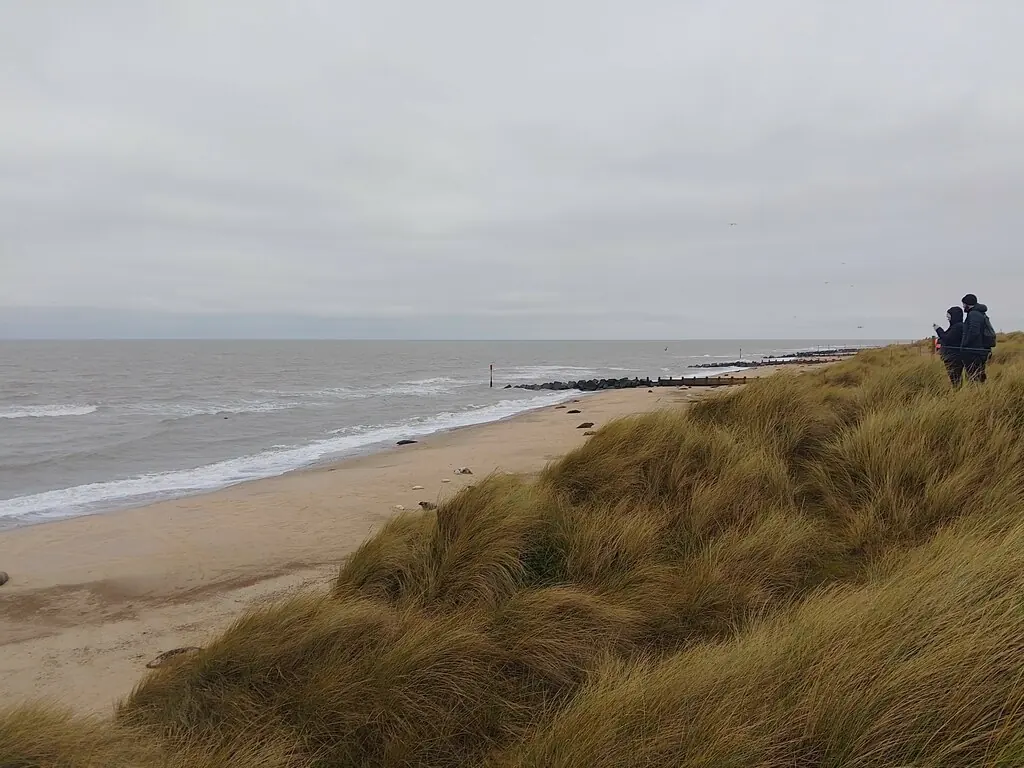 Horsey Beach