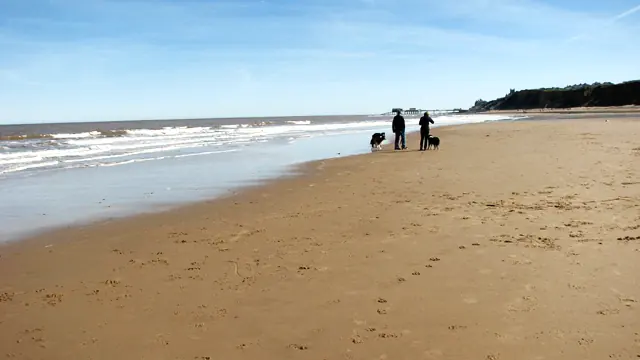 Walking the dogs on West Runton beach