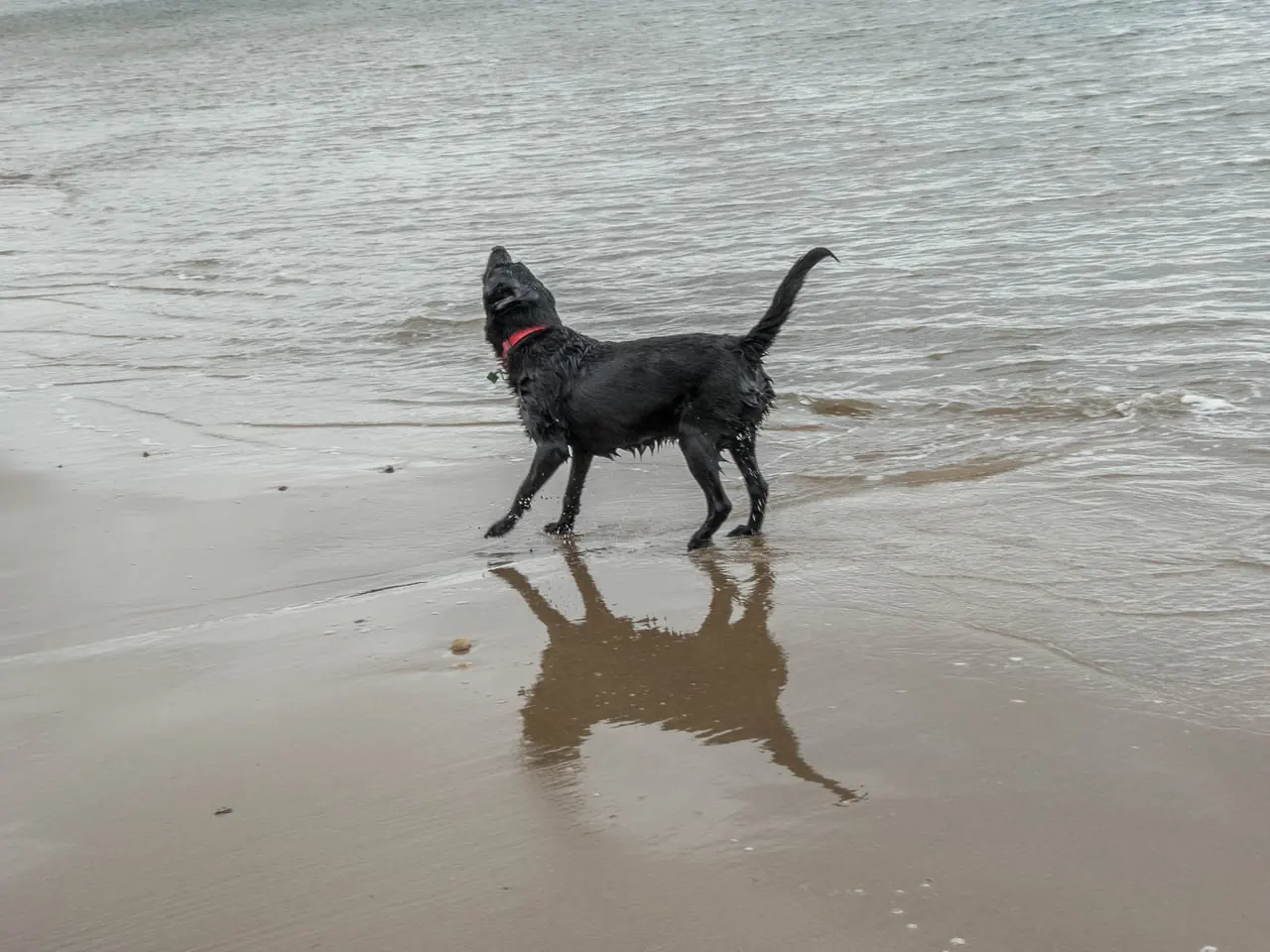 Cayton Bay, Yorkshire