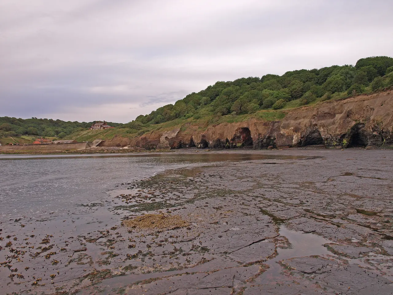 Sandsend Shore