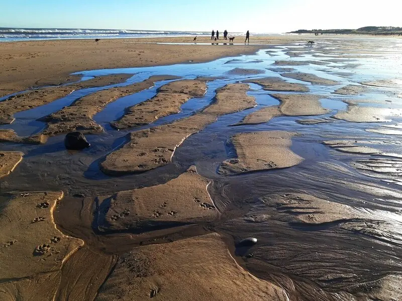 Cresswell Foreshore Nature Reserve