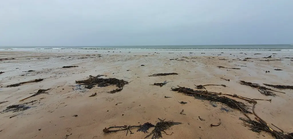 Druridge Bay, Northumberland