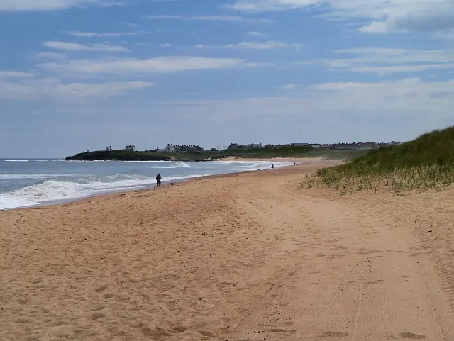 Seaton Sluice Beach