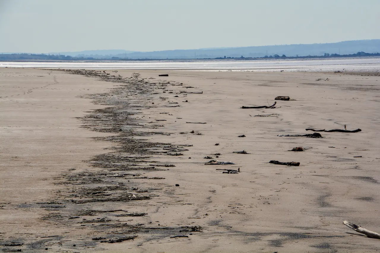 Berrow : Berrow Sands