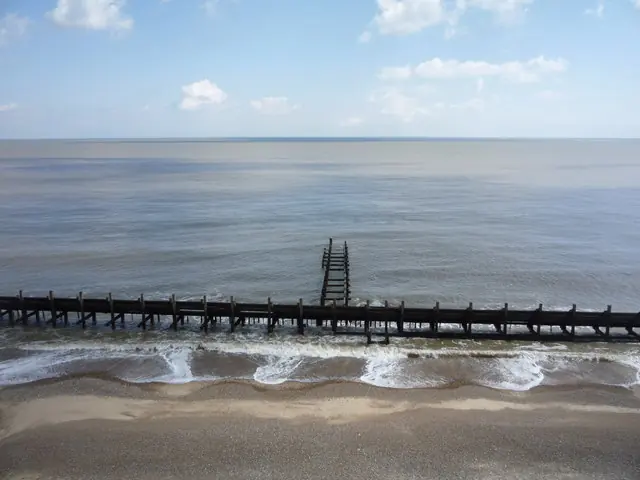 Beach and groyne below Corton Cliffs