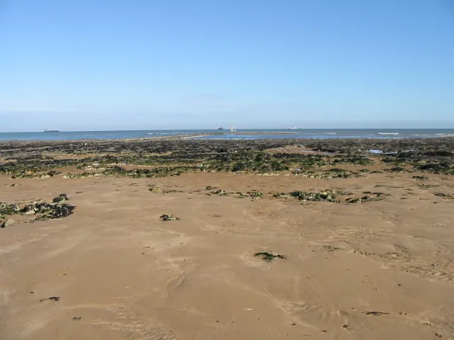 Sand and exposed rocky foreshore at Foreness Point