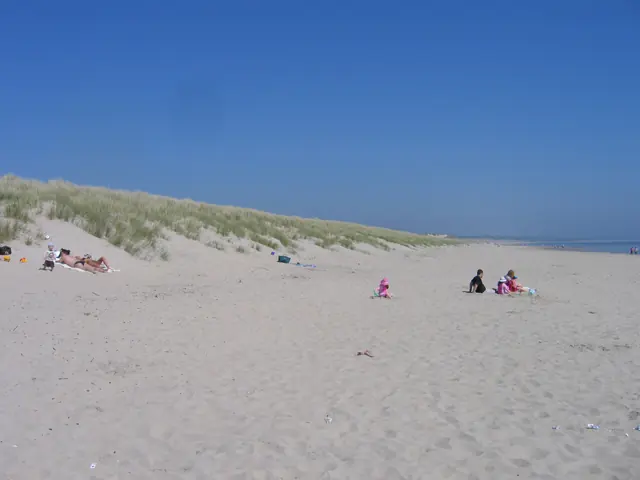 Sand dunes and a wide stretch of Curracloe Beach.