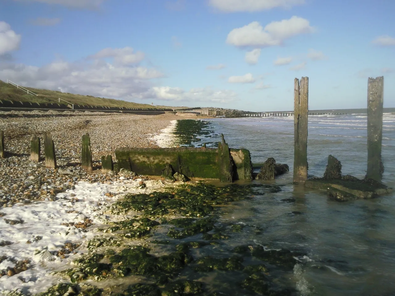 Old groyne timbers and the shore at Minnis Bay, Birchington