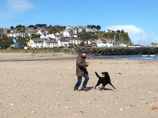 On the beach with the dog, Ballycastle