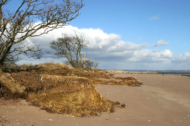 The shore at Tentsmuir Beach, Kinshaldy, Tayport, Fife.