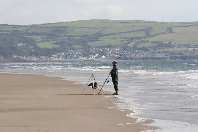 On Ynyslas beach