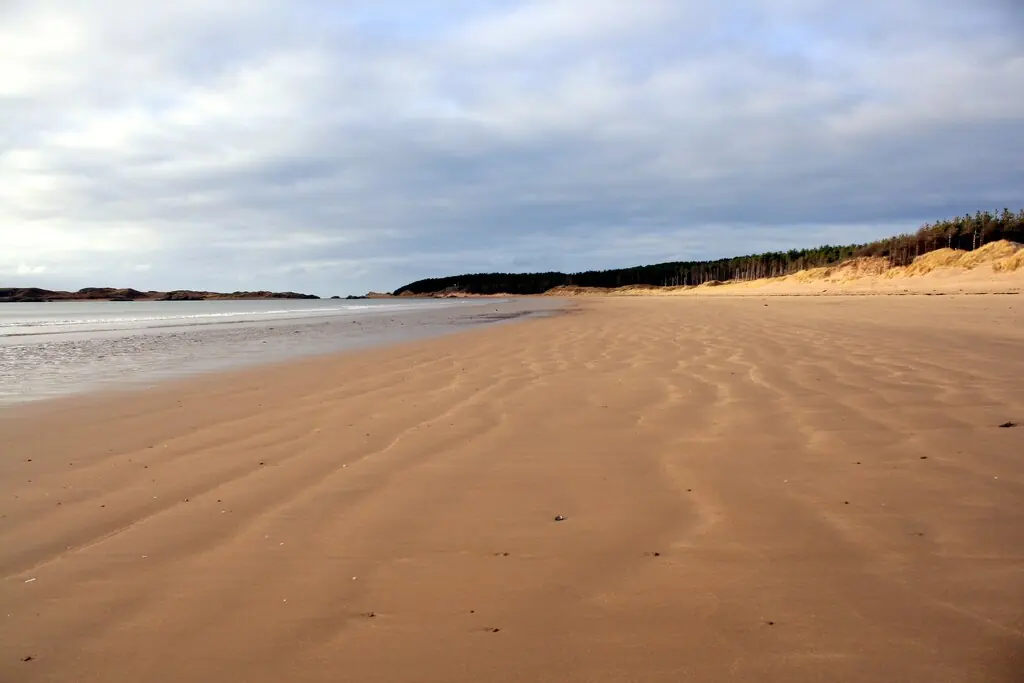 The beach at Newborough